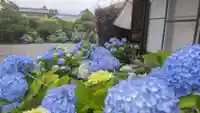 宗心寺(静岡県)