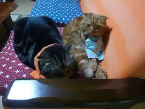 照光山 養命寺の授与品その他