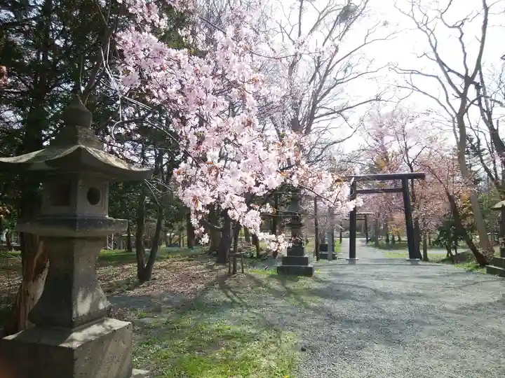錦山天満宮の自然