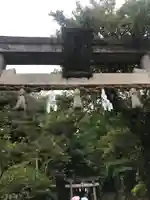 玉作湯神社の鳥居