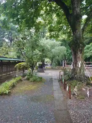 小御門神社(千葉県)