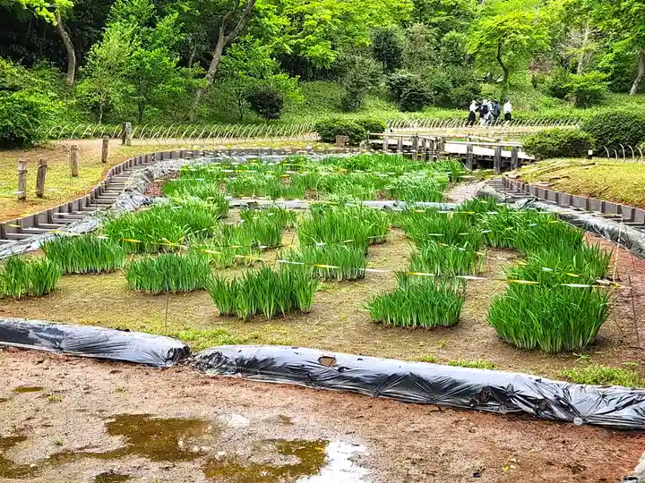 明治神宮(東京都)