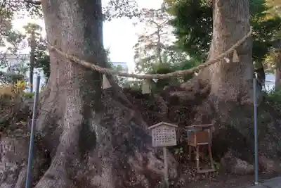 細江神社(静岡県)