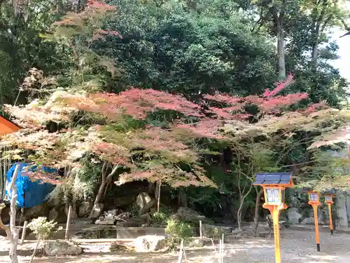 賣布神社のその他建物