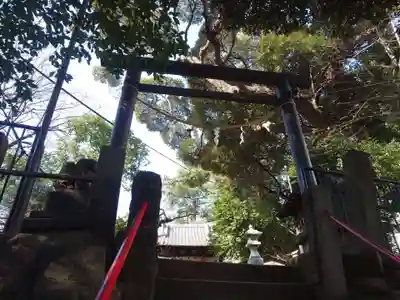 八景天祖神社の鳥居