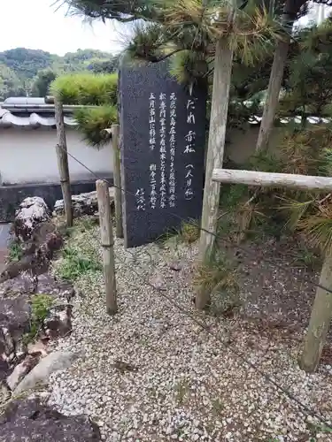 種間寺(高知県)