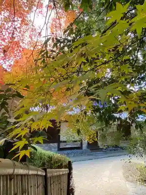 曹源寺(岡山県)