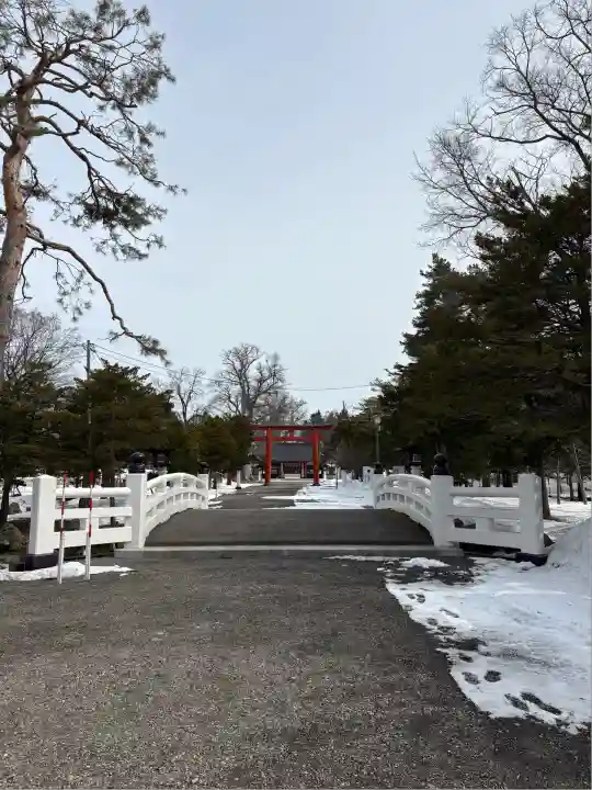 北海道護國神社の景色