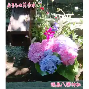 鴨島八幡神社の自然(2021年05月31日(月) 11時39分11秒投稿)