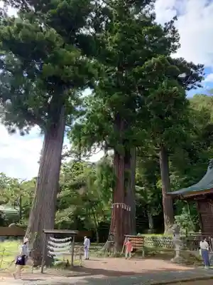 日枝神社(静岡県)