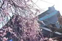 善龍寺(東京都)