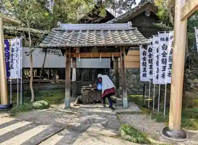 白金龍王社の手水舎