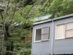 静岡浅間神社(静岡県)