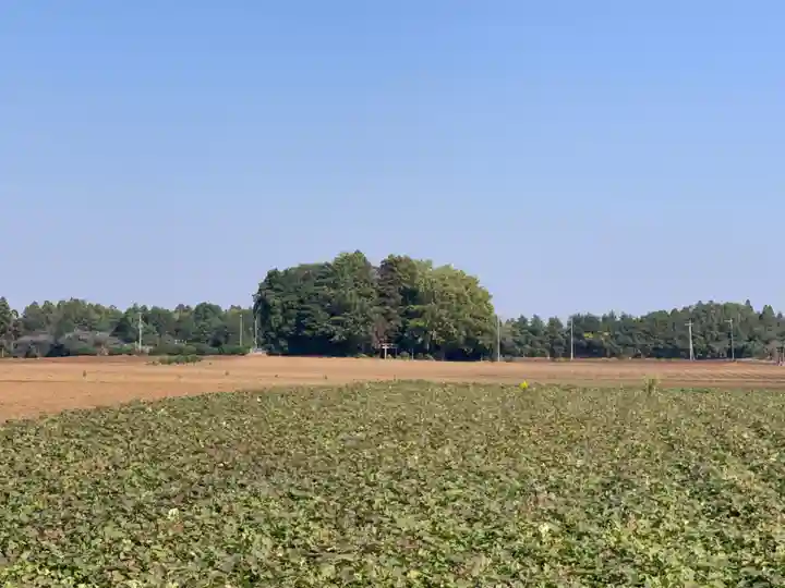 稲荷神社(千葉県)