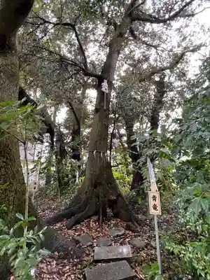 須天熊野神社(石川県)
