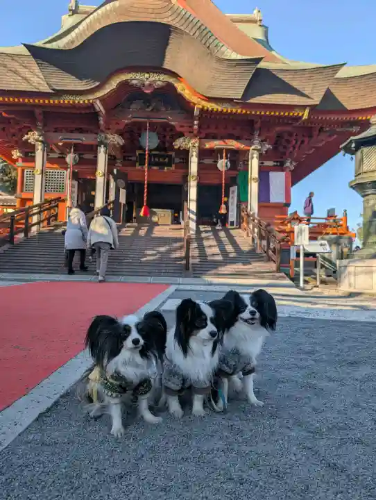 布施弁天 東海寺の{uncategorized: "未分類", other: "その他", undefined: "問題あり", building: "その他建物", grave: "お墓", sacred_gate: "鳥居", guardian: "狛犬", statue: "像", buddha: "仏像", history: "歴史", nature: "自然", garden: "庭園", animal: "動物", pagoda: "塔", temizu: "手水舎", mountain_gate: "山門・神門", sanctuary: "本殿・本堂", subordinate: "末社・摂社", art: "芸術", scenery: "景色", jizo: "地蔵", ema: "絵馬", goshuin: "御朱印", omikuji: "おみくじ", items: "授与品その他", amulet: "お守り", goshuincho: "御朱印帳", eats: "食事", festival: "お祭り", votive_dance: "神楽", shichigosan: "七五三参", wedding: "結婚式", experience: "体験その他", initially: "初詣", around: "周辺", anti_infection: "感染症対策"}