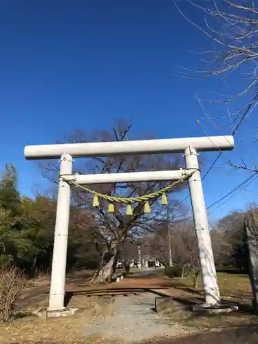 金村別雷神社の鳥居