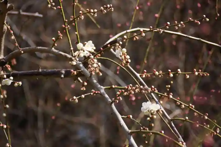 城南宮(京都府)