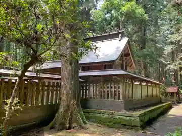 青山神社の本殿・本堂