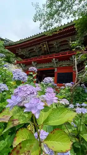 楽法寺（雨引観音）(茨城県)