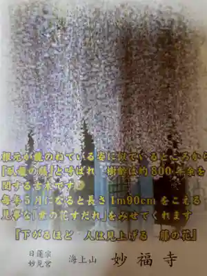 妙福寺(千葉県)