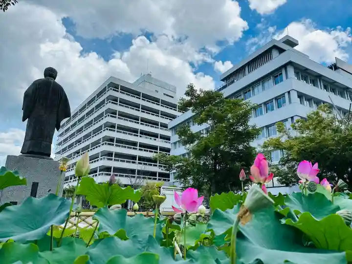 福井神社(福井県)