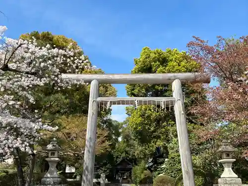 木嶋坐天照御魂神社(京都府)