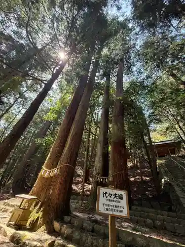 蘭宇氣白神社の{uncategorized: "未分類", other: "その他", undefined: "問題あり", building: "その他建物", grave: "お墓", sacred_gate: "鳥居", guardian: "狛犬", statue: "像", buddha: "仏像", history: "歴史", nature: "自然", garden: "庭園", animal: "動物", pagoda: "塔", temizu: "手水舎", mountain_gate: "山門・神門", sanctuary: "本殿・本堂", subordinate: "末社・摂社", art: "芸術", scenery: "景色", jizo: "地蔵", ema: "絵馬", goshuin: "御朱印", omikuji: "おみくじ", items: "授与品その他", amulet: "お守り", goshuincho: "御朱印帳", eats: "食事", festival: "お祭り", votive_dance: "神楽", shichigosan: "七五三参", wedding: "結婚式", experience: "体験その他", initially: "初詣", around: "周辺", anti_infection: "感染症対策"}