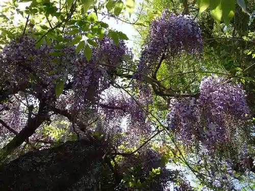 長福寺の自然