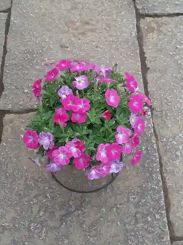 伏木香取神社(茨城県)