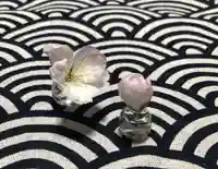 平野神社の自然