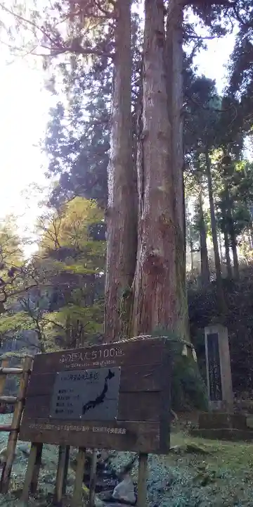 御岩神社の自然