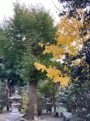 熊野新宮(神奈川県)