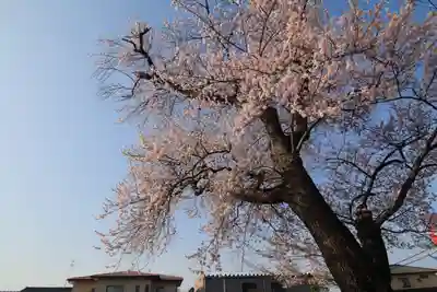 静御前堂の自然