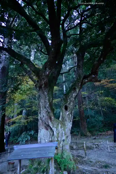 小國神社(静岡県)