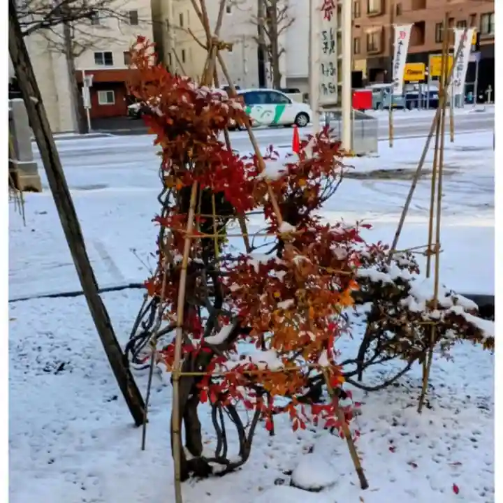 彌彦神社 (伊夜日子神社)(北海道)