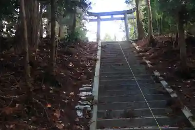 油井神社の鳥居