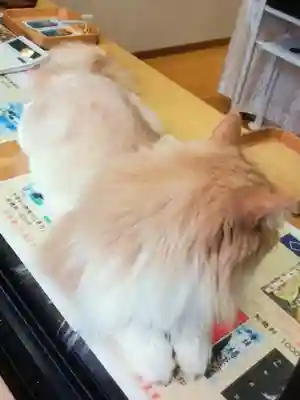 駒込妙義神社(東京都)