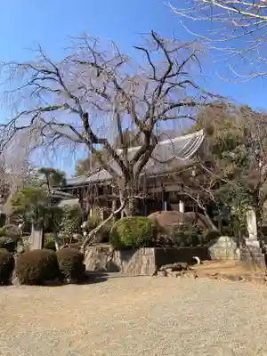 青柳寺(神奈川県)
