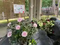 上川神社の手水舎