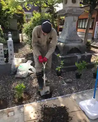 總社 和田八幡宮(福井県)