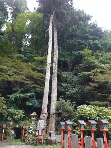 本瀧寺のその他建物