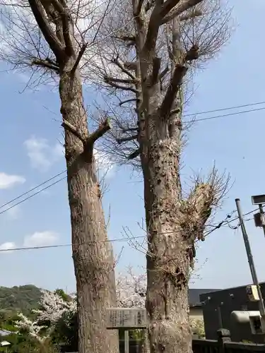 御霊神社(神奈川県)