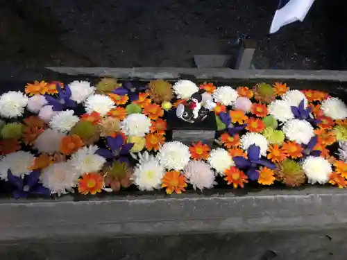 宇佐八幡神社の手水