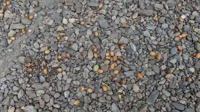 名寄神社の自然