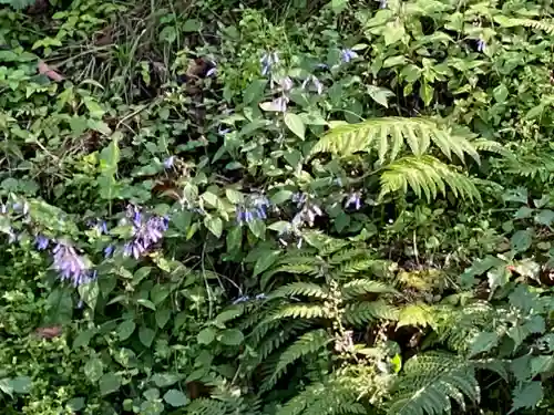 文保寺(兵庫県)