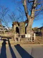 琴平神社(群馬県)