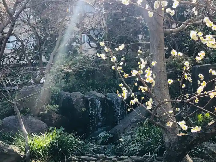 湯島天満宮の庭園