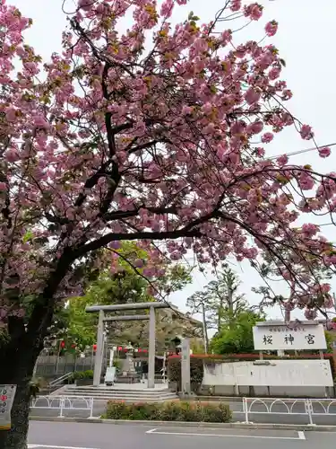 桜神宮(東京都)