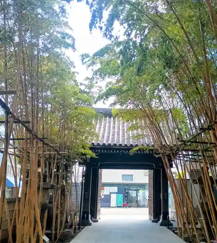 梅窓院(東京都)